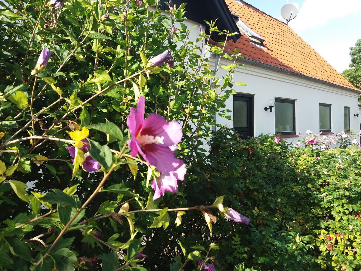 B & B Hygge Stoense Ngoại thất bức ảnh